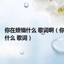 你在烦恼什么 歌词啊(你在烦恼什么 歌词)