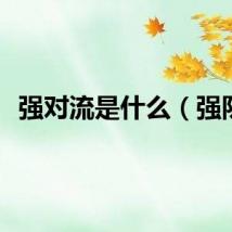 强对流是什么（强队）