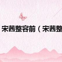 宋茜整容前（宋茜整容）