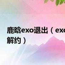 鹿晗exo退出(exo鹿晗解约)