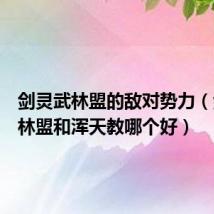 剑灵武林盟的敌对势力(剑灵武林盟和浑天教哪个好)