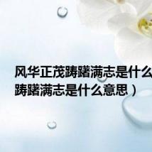 风华正茂踌躇满志是什么意思(踌躇满志是什么意思)