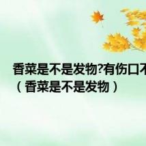 香菜是不是发物?有伤口不能吃?(香菜是不是发物)