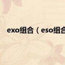 exo组合（eso组合）