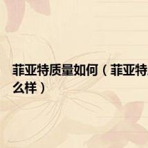 菲亚特质量如何(菲亚特质量怎么样)