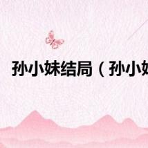 孙小妹结局（孙小妹）