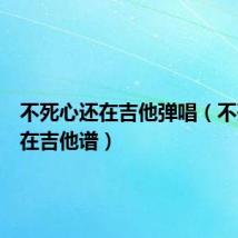 不死心还在吉他弹唱(不死心还在吉他谱)