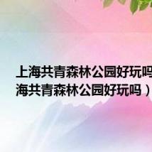 上海共青森林公园好玩吗?(上海共青森林公园好玩吗)