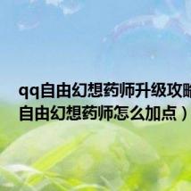 qq自由幻想药师升级攻略(qq自由幻想药师怎么加点)