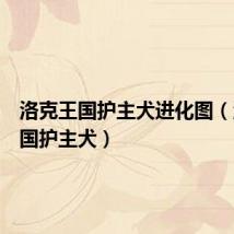 洛克王国护主犬进化图(洛克王国护主犬)