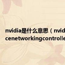 nvidia是什么意思(nvidianforcenetworkingcontroller)