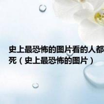 史上最恐怖的图片看的人都会被吓死(史上最恐怖的图片)