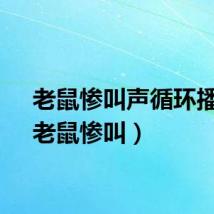 老鼠惨叫声循环播放(老鼠惨叫)