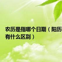 农历是指哪个日期(阳历和农历有什么区别)