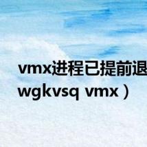 vmx进程已提前退出(jwgkvsq vmx)