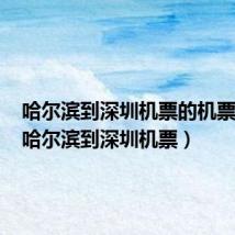 哈尔滨到深圳机票的机票查询(哈尔滨到深圳机票)