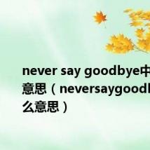 never say goodbye中文什么意思(neversaygoodbye是什么意思)