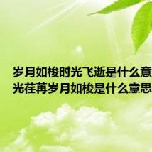 岁月如梭时光飞逝是什么意思(时光荏苒岁月如梭是什么意思)