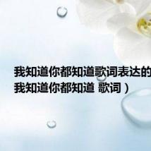 我知道你都知道歌词表达的意思(我知道你都知道 歌词)