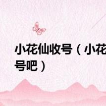 小花仙收号（小花仙送号吧）