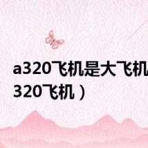 a320飞机是大飞机吗(a320飞机)