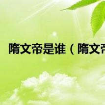 隋文帝是谁（隋文帝）