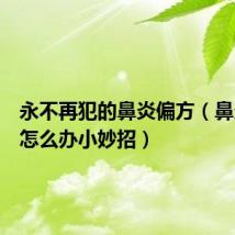 永不再犯的鼻炎偏方(鼻炎犯了怎么办小妙招)