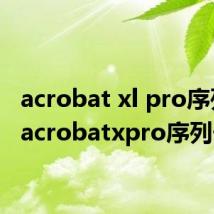 acrobat xl pro序列号(acrobatxpro序列号)
