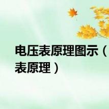 电压表原理图示（电压表原理）