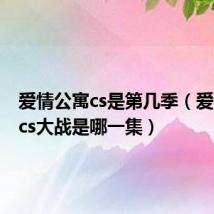 爱情公寓cs是第几季(爱情公寓cs大战是哪一集)