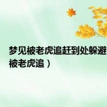 梦见被老虎追赶到处躲避(梦见被老虎追)