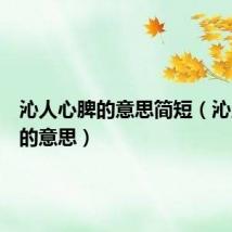 沁人心脾的意思简短(沁人心脾的意思)