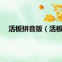 活板拼音版（活板）