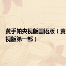 黄手帕央视版国语版(黄手帕央视版第一部)
