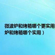 微波炉和烤箱哪个更实用(微波炉和烤箱哪个实用)