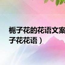 栀子花的花语文案（栀子花花语）