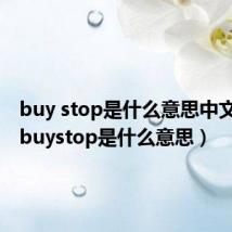 buy stop是什么意思中文翻译(buystop是什么意思)