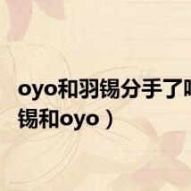 oyo和羽锡分手了吗(羽锡和oyo)