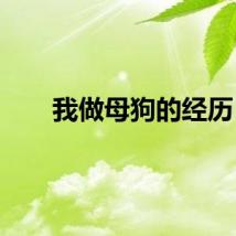 我做母狗的经历