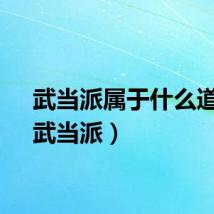 武当派属于什么道派（武当派）