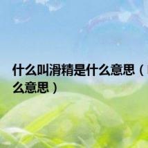 什么叫滑精是什么意思（吹箫什么意思）