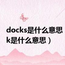 docks是什么意思(dock是什么意思)