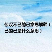 惊叹不已的已意思解释(惊叹不已的已是什么意思)