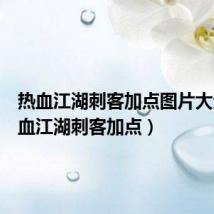 热血江湖刺客加点图片大全(热血江湖刺客加点)