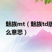 魅族mt(魅族td版是什么意思)