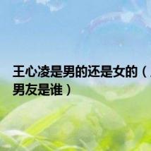 王心凌是男的还是女的(王心凌男友是谁)