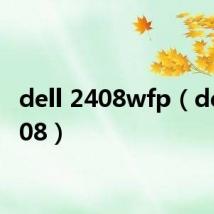 dell 2408wfp(dell 2408)