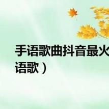手语歌曲抖音最火（手语歌）