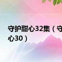 守护甜心32集（守护甜心30）