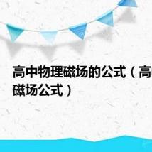 高中物理磁场的公式(高中物理磁场公式)